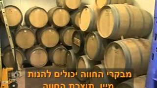 חוות כרמי עבדת - Desert Domain Carmey Avdat צילום ירון וינשטיין