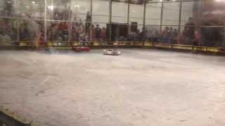 RG15 - Touro Maximus vs Hyperbite