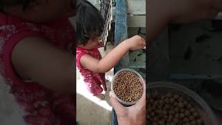 See What This Baby Does