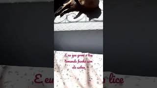 E Eu Que Gravei A Lice Tomando Banho