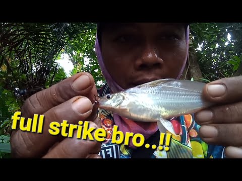 full strike,banjiran