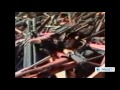 If Hezbollah Was Defeated (Documentary)