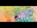 Nabowa「揺らぐ魚（Yuragu Sakana）」【Official Music Video】