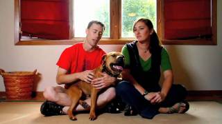 Dog Files Ep.12 Pit Proud The History Of The Pit Bull