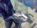 Video Рыбалка Киевская область