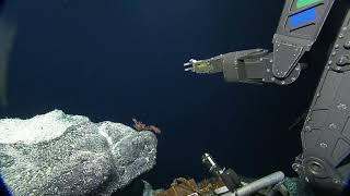 Rov Hercules Dive Na110-H1757-20190628T2337Utc-30