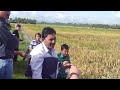 Improving rice yields under drought--Part 1