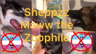Sheppzz Maww The Zoovore Lover And Stormyszoo Read Desc
