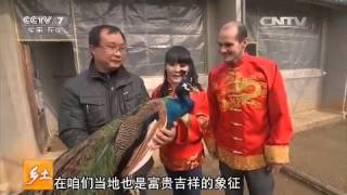 20151223 乡土 水边生活大不同