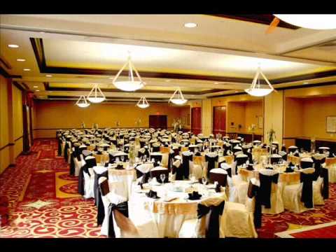Professional Wedding Planner Seating and Table Service for up to 300 guests