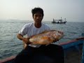 MANCING IKAN JANAHA MONSTER | LANE SNAPPER | BOJOANGEUN
