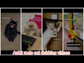 Ankit.ang funny cat dubbing videos  part- 2😂😂 || funny Instagram trending cat videos