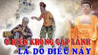 Đừng Khóc Khi Đời Bất Công Ngang Trái Phật Dạy: Ở Hiền Mà Chẳng Gặp Lành Là Do Điều Này mà ra