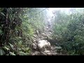 Sound pollution in the jungle