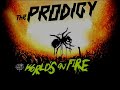 THE BEST OF THE PRODIGY