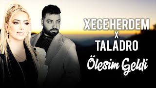 Xece Herdem X Taladro - ÖLESİM GELDİ  (mixed by Kezer Prod) prod by. Tolga Arsla