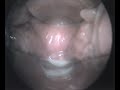 Orgasm explanation (JP) - How To Control