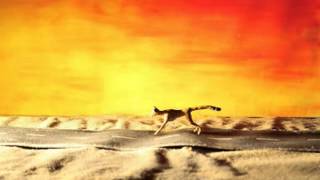 Can't Reach (short Stop Motion Animation Film)