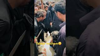 Talwar Matham Kat A