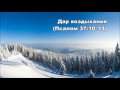 Тихое время с Живой Жизнью: Псалом 37:1–11 (26122016)