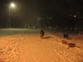 Бархан Душа Волка и Тасси 