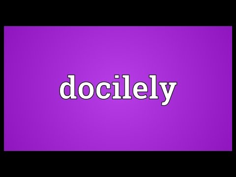 Header of docilely