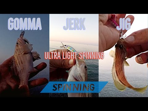 Ultra Light Spinning CERNIE con JIG, JERK e GOMME! ULS primo volume 2020 - clipangler