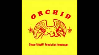 Watch Orchid Dont Rat Out Your Friends video