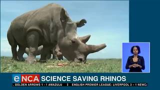 Science saving rhinos