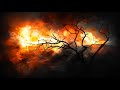 D Two Suns In Sky Original Mix images D Two Suns In Sky Original Mix