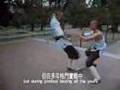 totally realistic shaolin kung fu fighting