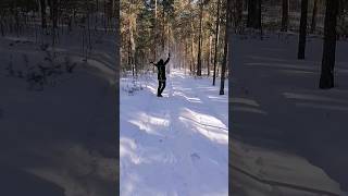 Зимний Лес, Просто Сказка!) 🌲🌲🌲👌👌👌👋👋👋