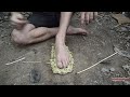 Primitive Technology, Making mat from screw-pine in the wild