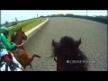 Jockey Cam: A Rider's Eye View of a Horse Race