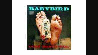 Watch Babybird Cfc video