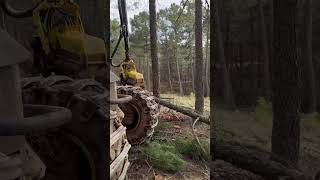 Brutal Sound And Cut Of The John Deere 1270G Harvester #Johndeere #Harvester #Tree #Viral #Trending