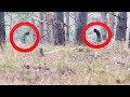 Two Guys Noticed These Pipes Sticking Out Of The Ground , They Never Expected This To Be Underneath