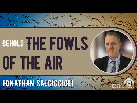 Behold the Fowls of the Air | Jonathan Salciccioli