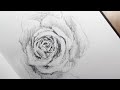 Drawings in my sketchbook - Time lapse - LenaDanya