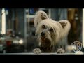 Cats & Dogs: Revenge of Kitty Galore Trailer