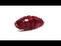 HEXBUG Larva