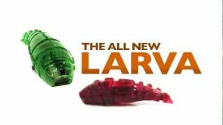 Hexbug Larva