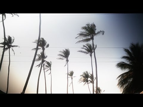 Etwas Bleibt Video