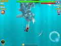 New shark big daddy