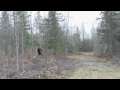 Sortir De Là Video preview