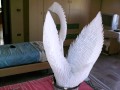 Origami 3d Origami Swan (page 5). YouTube Bird Video Tutorials