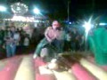 Rodeo toro mecanico