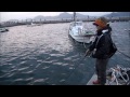 漁港ルアー五目釣りで餌釣り師よりも釣る方法。