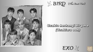 Türkçe Altyazılı Exo - Bird The Best Ver.