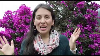 Una Habitación Propia Una Obra Que Toda Mujer Debe Leer Mujeres De Tinta